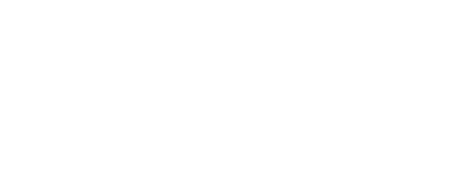 FourWings Client Logo